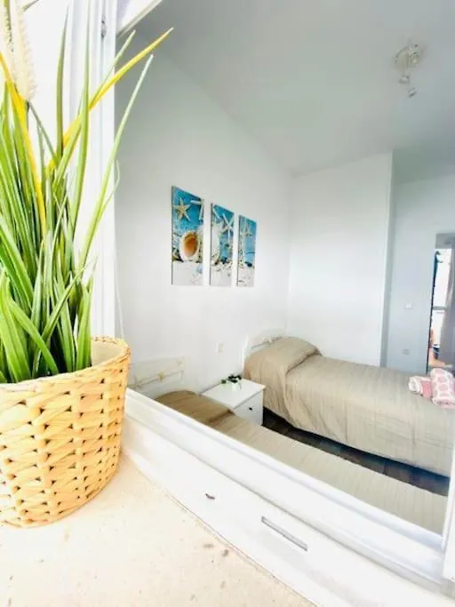 Apartamento Apartamento*Carolapo*Con Patio Interior Y Garage Conil De La Frontera España
